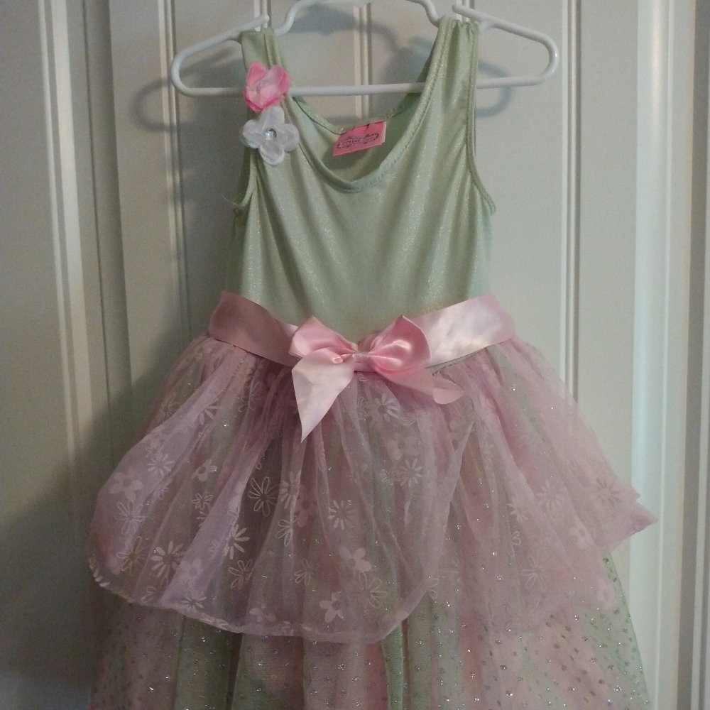 Pretty Chic girls woodland fairy princess ballet Halloween costume dress up 4-6x